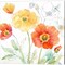 Happy Poppies A by Cynthia Coulter 14" x 14" Canvas Wall Art (Set of 2)